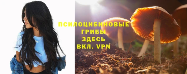 MESCALINE Новый Уренгой