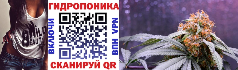 Канабис планчик дарк нет телеграм Жиздра